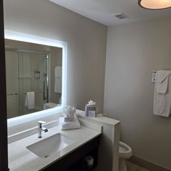 Holiday Inn Express & Suites Tampa North - Wesley Chapel