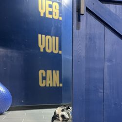 Even More Fitness