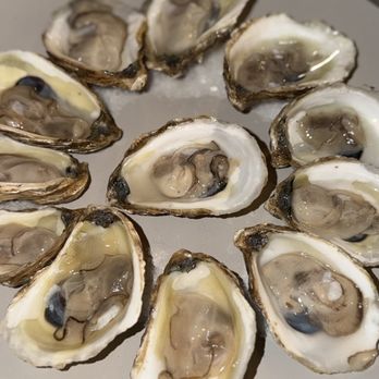Corteza - Oysters - Mediterranean Near Me - South Miami, Florida Corteza - Oysters - Mediterranean Near Me - South Miami, Florida