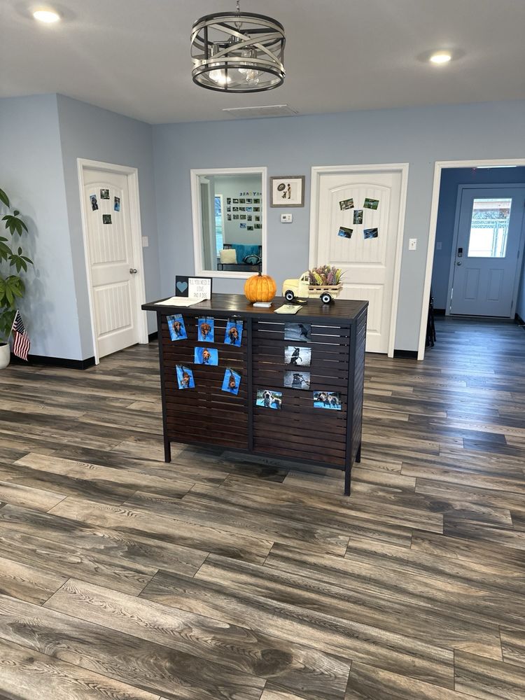 PET PALACE DOGGIE DAY SPA & RESORT Updated September 2024 23 Photos