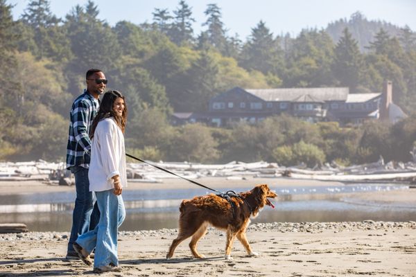 Kalaloch Lodge at Olympic National Park by null