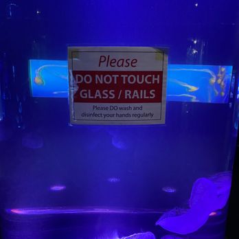 Aquarium Pyramid - Plenty of Health protocols in place. - Aquariums Near Me - Galveston, Texas Aquarium Pyramid - Plenty of Health protocols in place. - Aquariums Near Me - Galveston, Texas