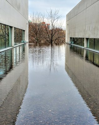 Pulitzer Arts Foundation by null