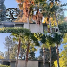 Exterior photo of Best Way Tree Care Exterior photo of Best Way Tree Care