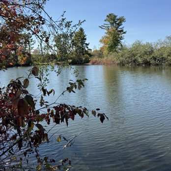Chase Farm - Pond at Chase Carm - Parks Near Me - Lincoln, Rhode Island