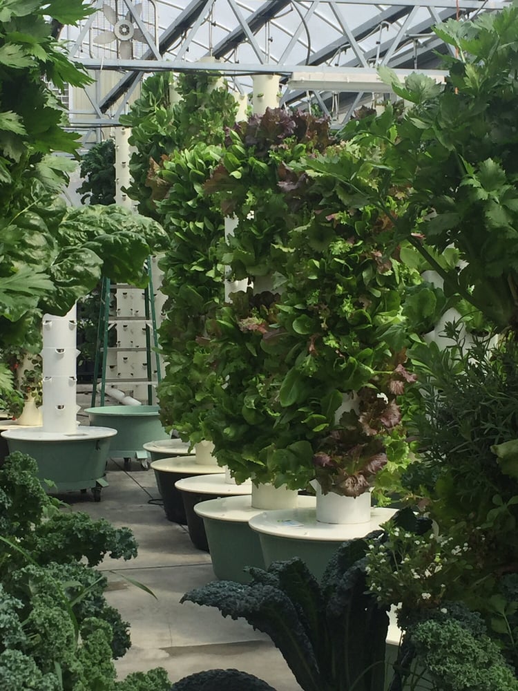 LIVING TOWERS Updated August 2024 11 Photos 19621 Lake Lincoln Ln