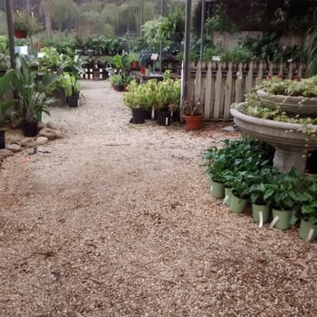 Plant Ranch Nursery - Nurseries & Gardening Near Me - Jacksonville Beach, Florida
