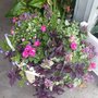 Photo of Stuckmeyer Plants & Produce