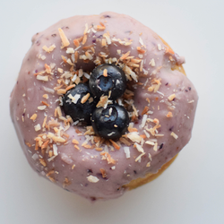 Holey Rollers - Blueberry Coconut