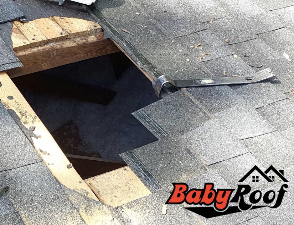 Slide of Baby Roof