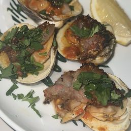 Clams appetizer Clams appetizer