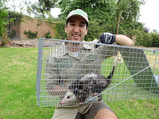 Wildlife Trapper Pro