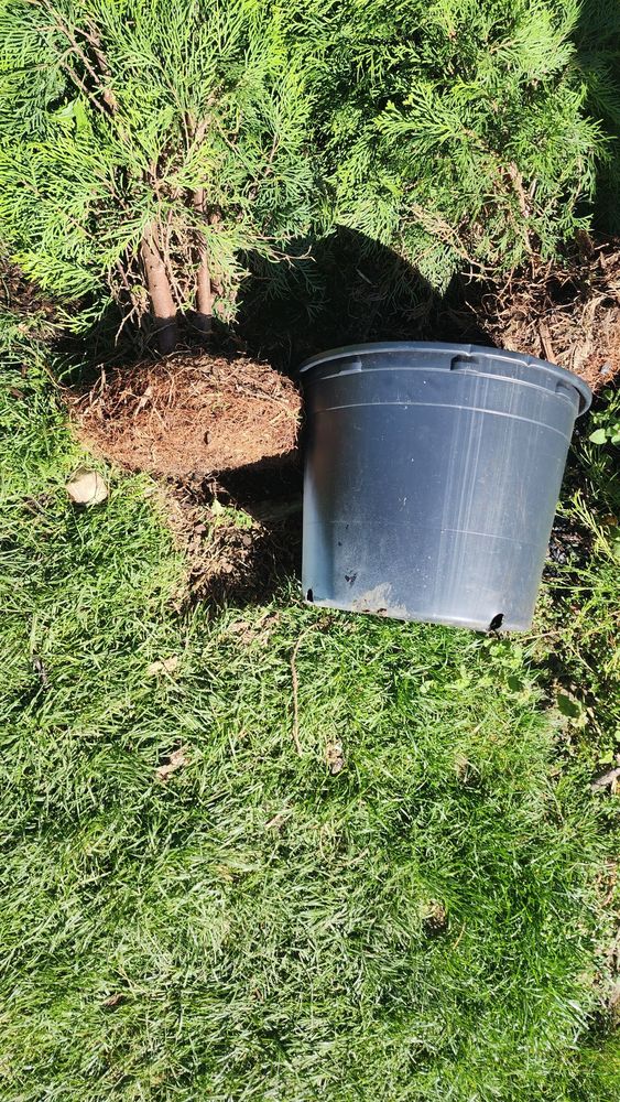 E & L Lawn Care - tree service in Columbus, OH