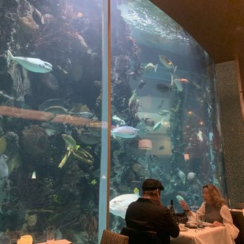 Chart House - Fish tank view - Seafood Near Me - Las Vegas, Nevada Chart House - Fish tank view - Seafood Near Me - Las Vegas, Nevada
