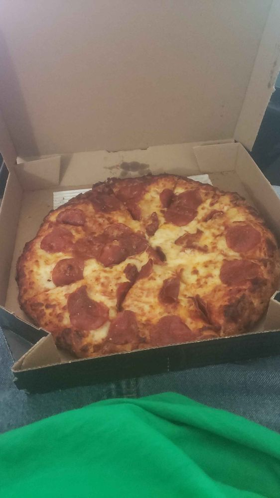 Domino's Pizza Logo