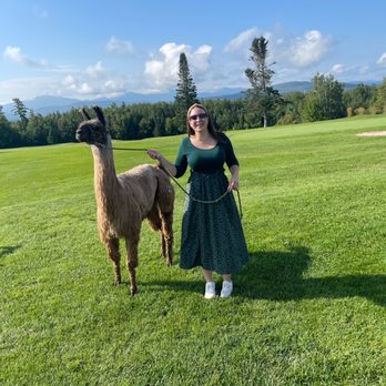 Mountain View Grand Resort - Llama experience - Day Spas Near Me - Whitefield, New Hampshire Mountain View Grand Resort - Llama experience - Day Spas Near Me - Whitefield, New Hampshire