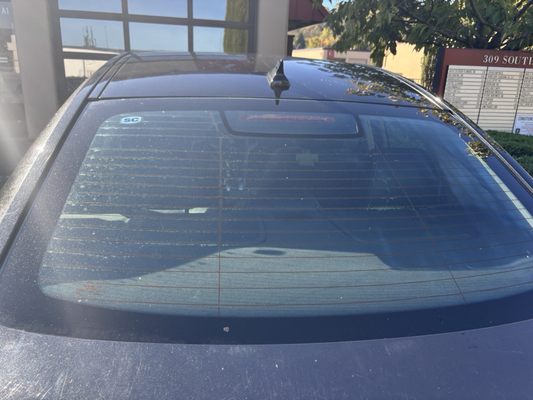 Elephant Car Wash by null