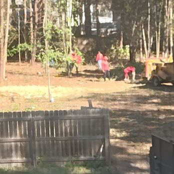 Audel Jimenez Tree Service - Pretty much done. - Tree Services Near Me