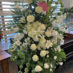 Mary Murray's Flowers - Flowers