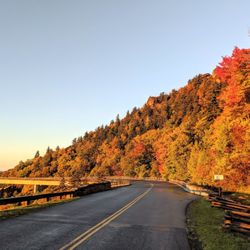 Linn Cove Viaduct - Instagram: @telephonesmoothie