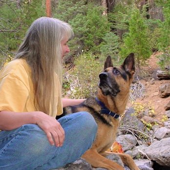 Brainy Dog - Pet Training Near Me