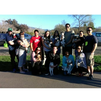 Heather Farm Dog Park - All of us and our fur babies klee kai - Dog Parks Near Me - Walnut Creek, California