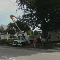 Madden Tree - Tree pruning - removing a large branch from street and electical wires
