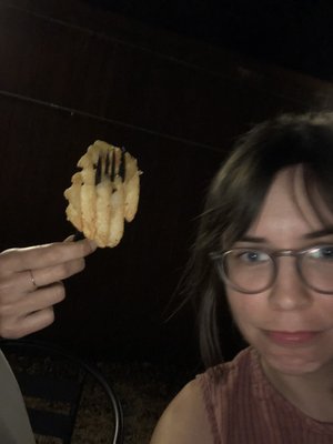 Sunny's Backyard by null