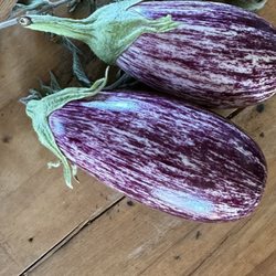 Jembe Farms - Eggplant!