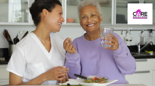 Care Solutions In-Home Services - home care agency in Saint Louis, MO
