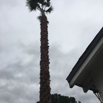 Aper's Tree Service - Tree Services Near Me - Sunland, California Aper's Tree Service - Tree Services Near Me - Sunland, California