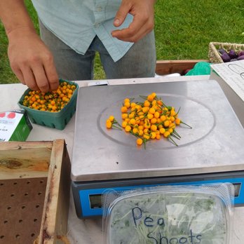 Eastside Farmers' Market - Ahi Charapitas, tiny but they pack a punch! - Farmers Market Near Me - Madison, Wisconsin