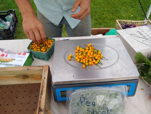 Eastside Farmers' Market by null