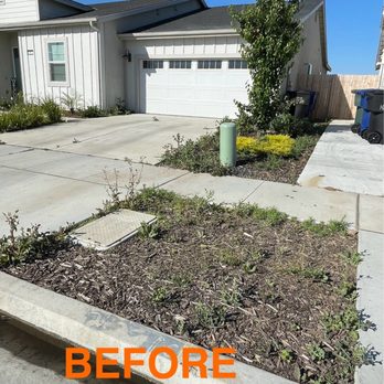 Gonzalez Exterior Services - This is the BEFORE pic of my front and middle area between my home and neighbor side. - Pressure Washers Near Me Gonzalez Exterior Services - This is the BEFORE pic of my front and middle area between my home and neighbor side. - Pressure Washers Near Me