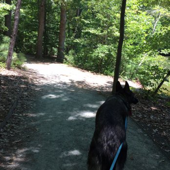 Noland Trail - Hiking Near Me - Newport News, Virginia Noland Trail - Hiking Near Me - Newport News, Virginia