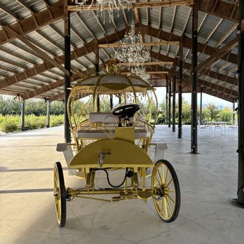 Ninetynine South Vineyards - Wine Tasting Room Near Me - Surrey, British Columbia Ninetynine South Vineyards - Wine Tasting Room Near Me - Surrey, British Columbia