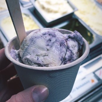 Long Beach Creamery - I had the Blueberry Donut and it was the best ice cream I've had in a long time! - Ice Cream & Frozen Yogurt Near Me - Long Beach, California Long Beach Creamery - I had the Blueberry Donut and it was the best ice cream I've had in a long time! - Ice Cream & Frozen Yogurt Near Me - Long Beach, California