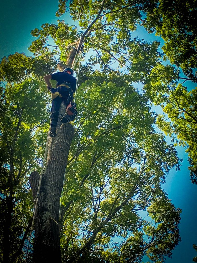 PEACHTREE TREE SERVICE 24 Photos 691 John Wesley Dobbs Ave NE