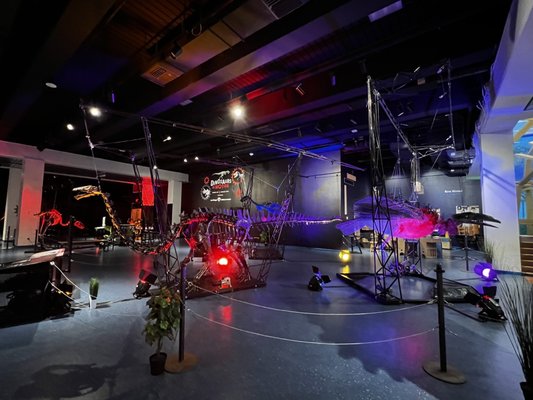 Museum of Discovery and Science by null
