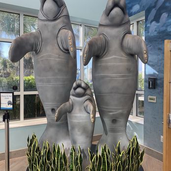 Manatee Lagoon - Aquariums Near Me - West Palm Beach, Florida Manatee Lagoon - Aquariums Near Me - West Palm Beach, Florida