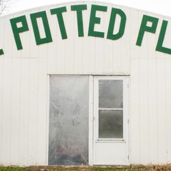 The Potted Plant