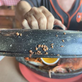 Crab Bag - Bugs - Seafood Near Me - Ocean City, Maryland