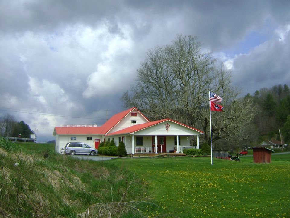 ROAN MOUNTAIN ANIMAL HOSPITAL Updated October 2024 8651 Highway 19