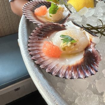 Fishing With Dynamite - Peruvian scallops - a must!!! - Seafood Near Me - Manhattan Beach, California