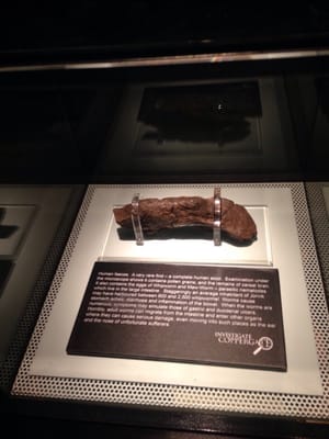 JORVIK Viking Centre by null