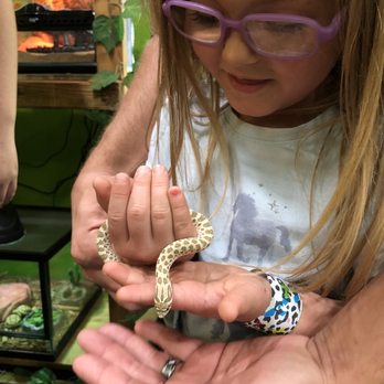 Lizards for Kids & More - Kids Activities Near Me - Glendale, Arizona Lizards for Kids & More - Kids Activities Near Me - Glendale, Arizona