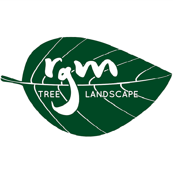 RGM - tree service in Bellevue, NE