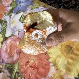 donuts should look like this has to have sponges donuts should look like this has to have sponges