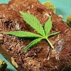 Green Express - Marijuana Edibles