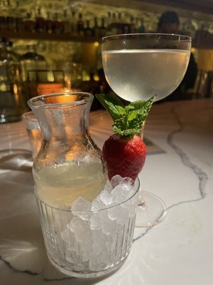 Birds of Paradise by null